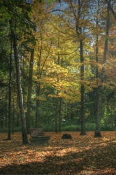 resized_fall08_5.jpg